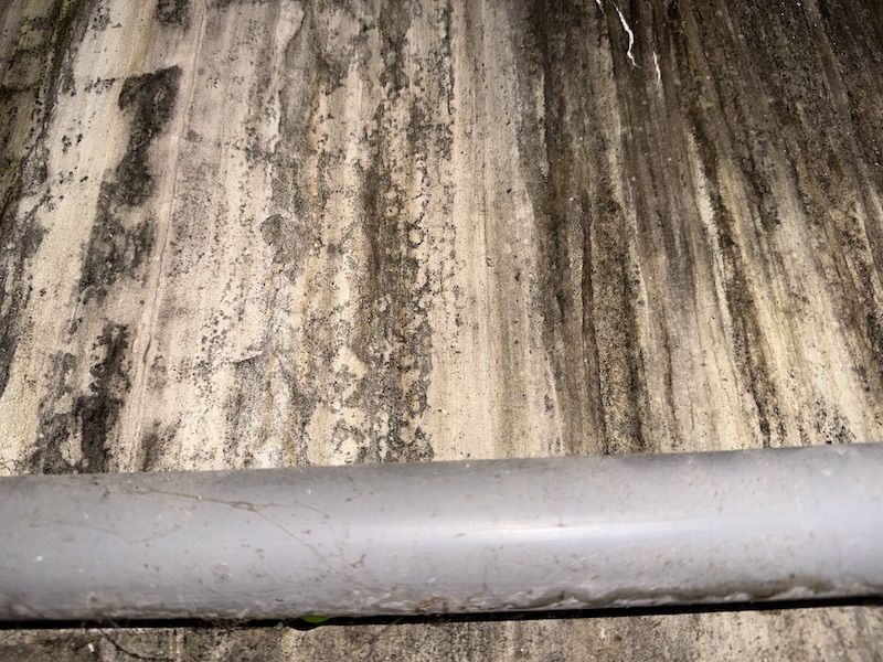 Recherche de fuite Dax – canalisation PVC et moisissures